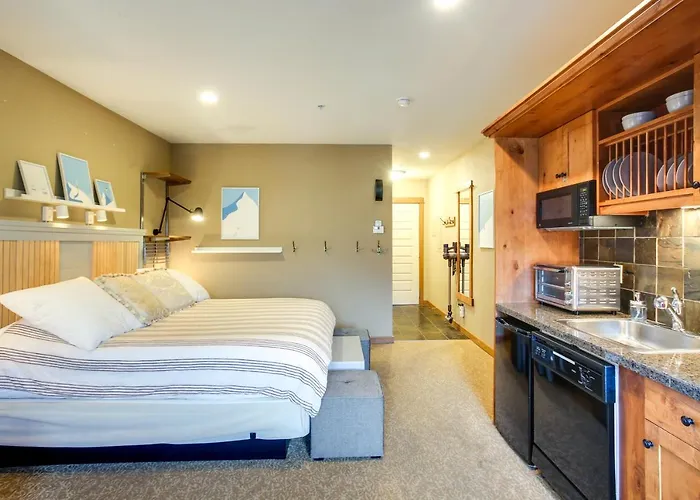 Pet-Friendly Silver Mountain Studio: Mountain View